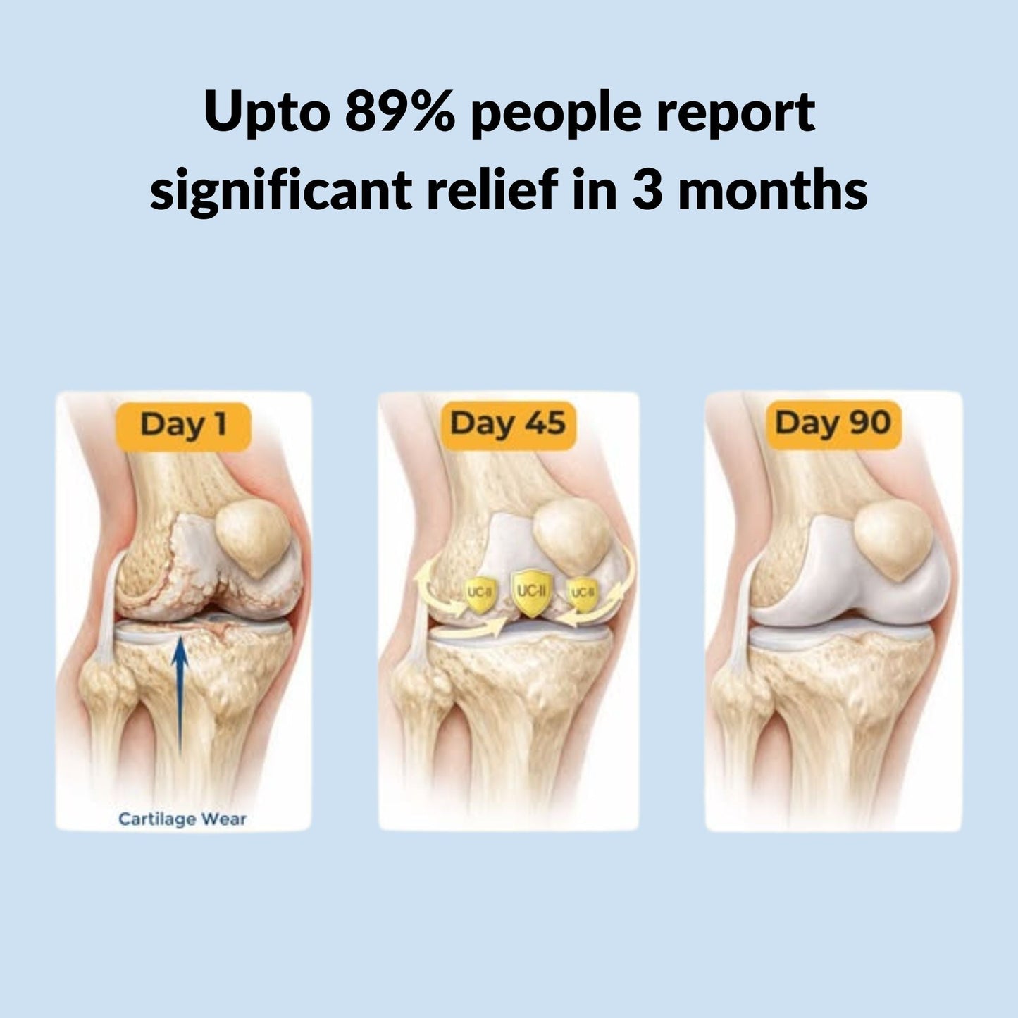 Cartilage & Joint Support Supplement
