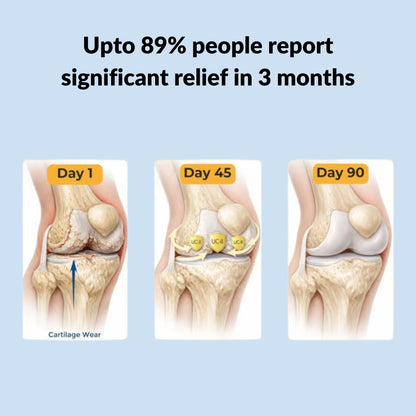 Cartilage & Joint Support Supplement