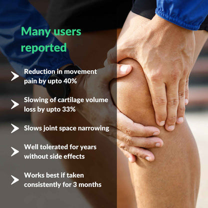 Cartilage & Joint Support Supplement