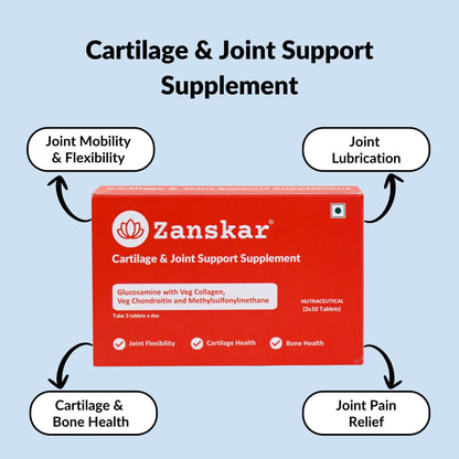 Cartilage & Joint Support Supplement