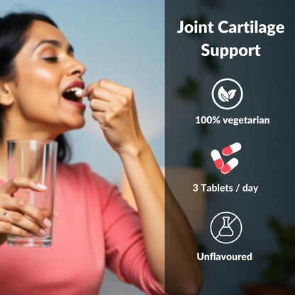 Cartilage & Joint Support Supplement